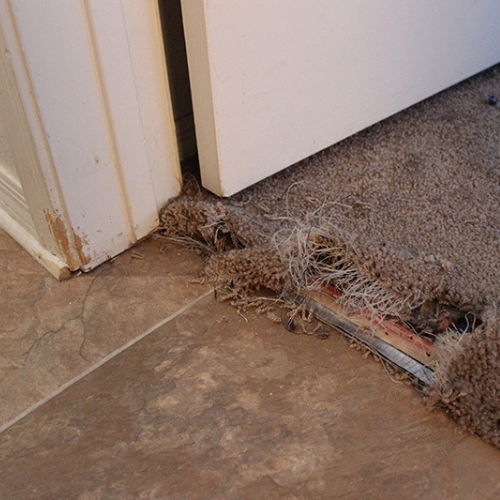 Carpet Repair and Restoration