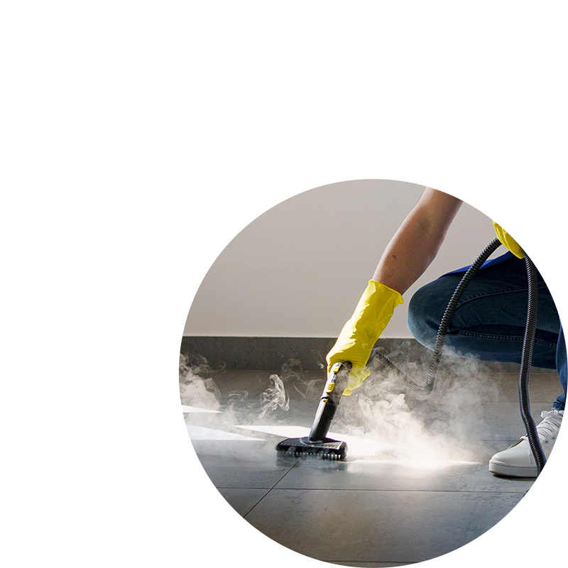 Tile and Grout Cleaning Experts